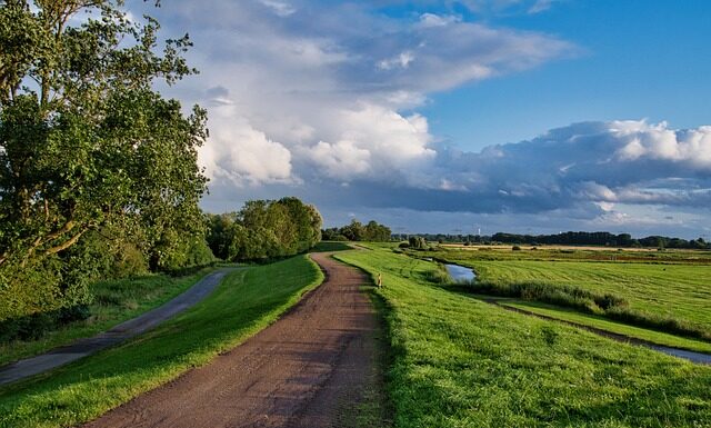 Czy wał obraca się na luzie? Czy wał obraca się na luzie?