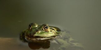 Jak cumować jacht motorowy?