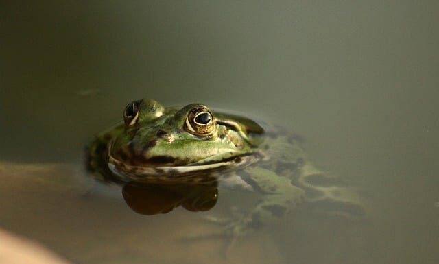 Jak cumować jacht motorowy?