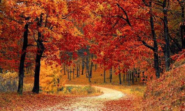 Co lepsze puch syntetyczny czy naturalny?