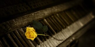 Co to są klucze Torx?