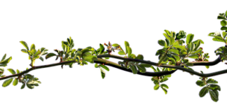 Czym grozi zatkana wentylacja?