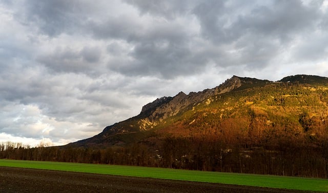 Czy warto robić cyrkulację?