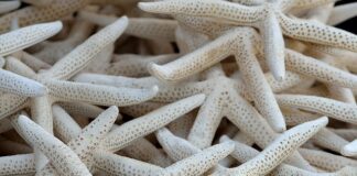 Jaki kolektor słoneczny do grzania wody?