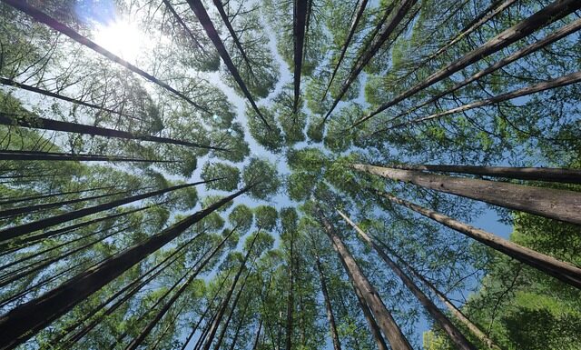 Czy warto zamontować daszek na kominie?