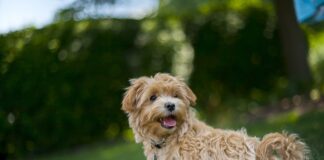 Jak się ubrać na upały?