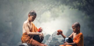 Ile kosztuje czyszczenie pierza?