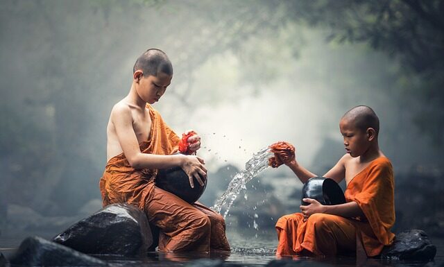 Ile kosztuje czyszczenie pierza?