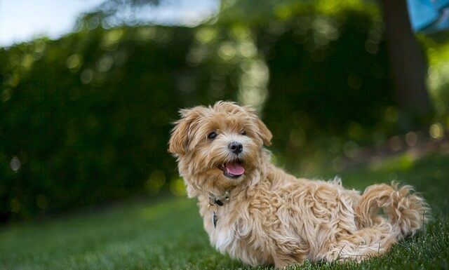 Dlaczego w upały chce się spać?