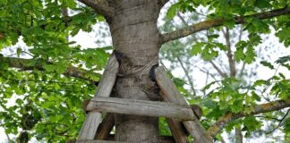 Jak sprawdzić podporę wału?