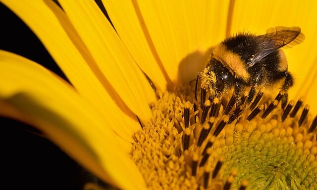 Co to jest korekcja kół zębatych?