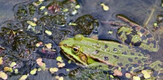 Jak powinno się kleić styropian?