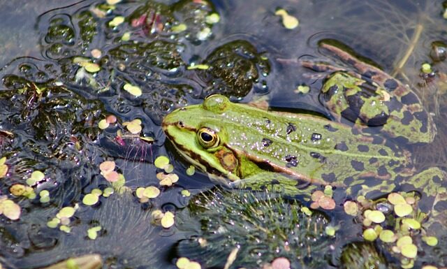 Jak powinno się kleić styropian?