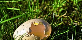 Czym usunąć powłokę lakierniczą?