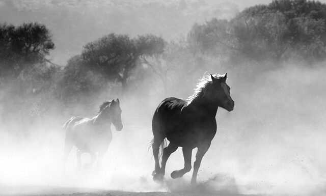 Jak palić miałem w piecu z podajnikiem?