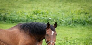 Jak działa Uchwyt wiertarski samozaciskowy?