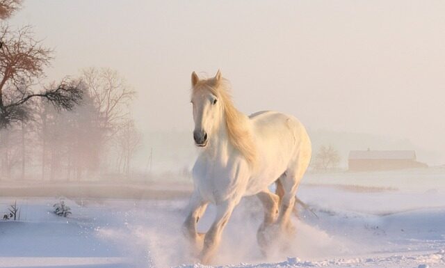 Jak długo trwa opad radioaktywny?