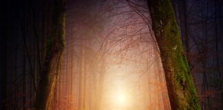 O której powinno chodzić spać 8 letnie dziecko?