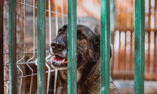 Czy dziecko może spać w kojcu?