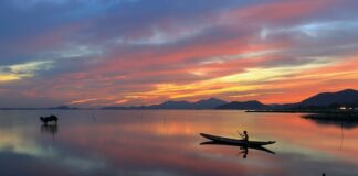 Czy można łowić sumy na kotwicę?