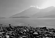 Ile kosztuje wymiana wału napędowego?