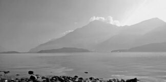 Ile kosztuje wymiana wału napędowego?