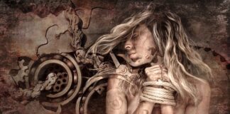 Co to jest łożysko u ssaków?