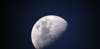 Czym się różni polar od mikrofibry?