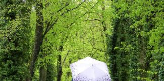 Jak znaleźć miejsce wycieku płynu chłodniczego?