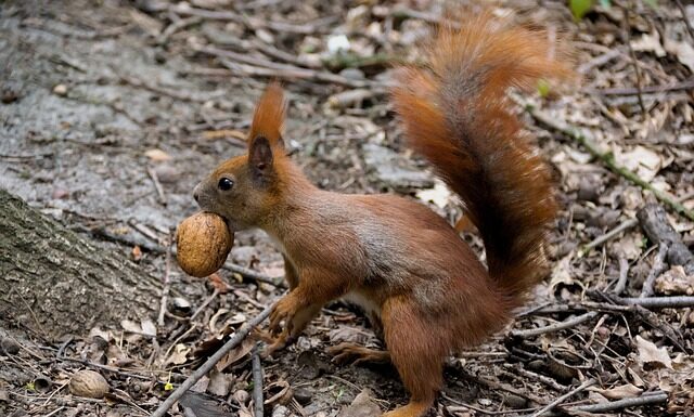 Co to jest futerko do wiertarki?