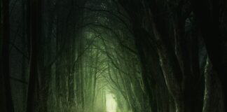 Co oznacza zielone auto?