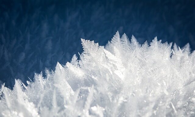 Czym zastąpić woreczki do lodu?