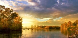 Kto wymyślił koło?