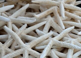 Ile kosztuje jeden kolektor słoneczny?