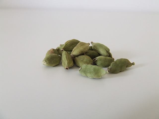 Co znaczy Kardan? Co znaczy Kardan?