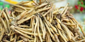 Czy warto zamontować nasady kominowe?