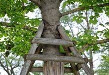 Co to jest podpora wału napędowego?