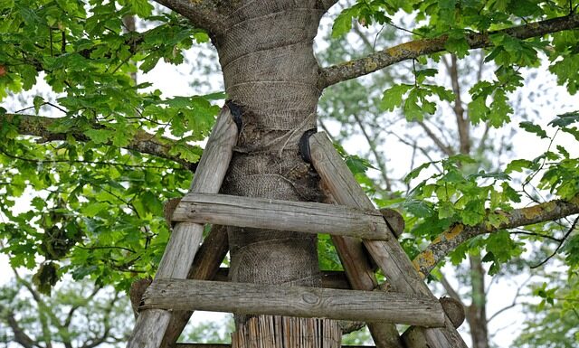 Co to jest podpora wału napędowego?