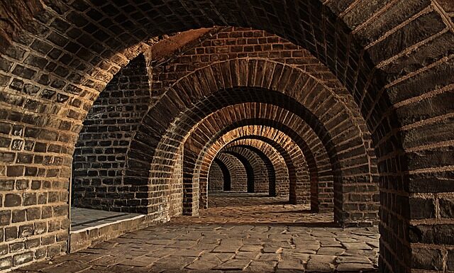 Jak sprawdzić historię serwisową Volkswagen?