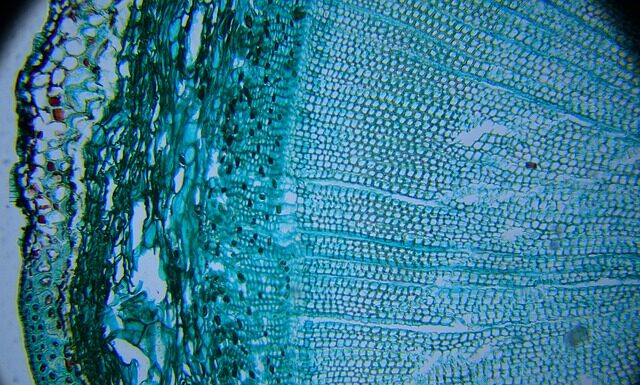 Jaki preparat do odkręcania zapieczonych śrub?