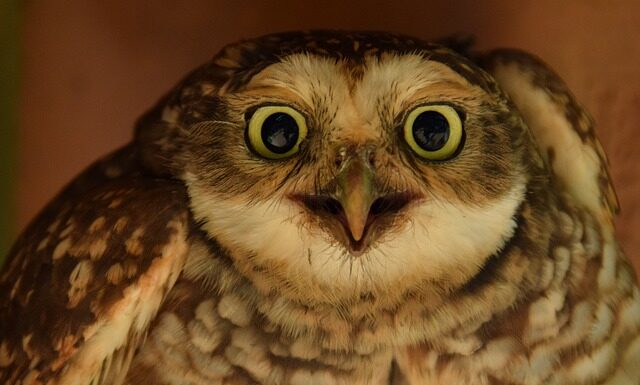 Jaka najlepsza dysza do malowania? Jaka najlepsza dysza do malowania?