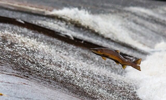 Jak sprawdzić czy dochodzi prąd?