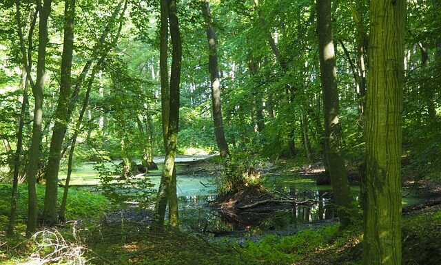 Jakie kufry do motocykla?