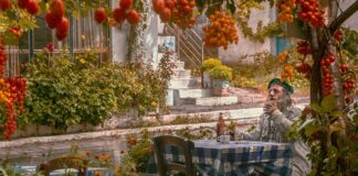 Ile pali Honda Varadero 125?