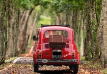 Jak sprawdzić czy auto brało udział w akcji serwisowej?