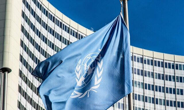 Jak sprawdzić VIN VW za darmo? Jak sprawdzić VIN VW za darmo?