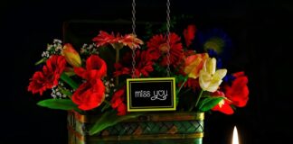 Ile pali ford ranger 32?